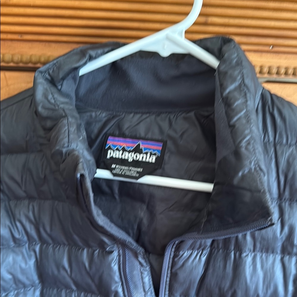 Patagonia Fiona Down Coat